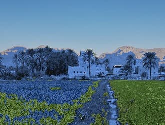 agriculture-img
